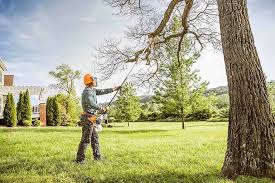 Best Storm Damage Tree Cleanup  in Amboy, WA