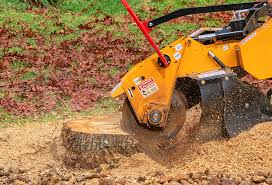 Best Tree Mulching  in Amboy, WA